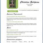 Exemple De CV Gratuit 250 mod les t l charger Cr er un CV Exemple De CV Gratuit 250 mod les t l charger Cr er un CV
