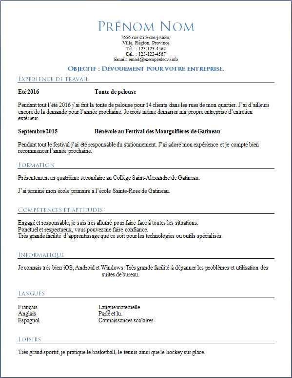 Exemple Dun Cv Etudiant
