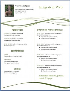 Exemple de cv moderne