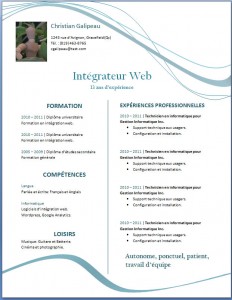 Exemple de cv moderne
