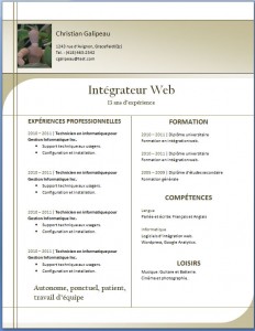 Exemple de cv moderne