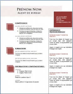 Modèle et exemple de cv word gratuit #100