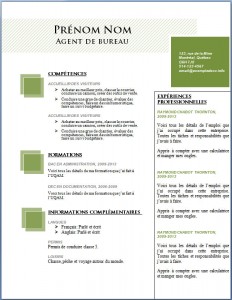 Modèle et exemple de cv word gratuit #101
