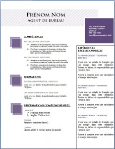 Modèle et exemple de cv word gratuit #102