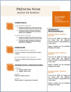 Modèle et exemple de cv word gratuit #104