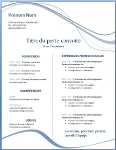 Exemple de CV #22