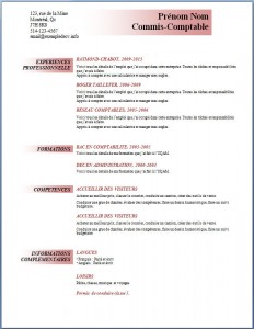 Exemple et modèle de CV gratuit #92