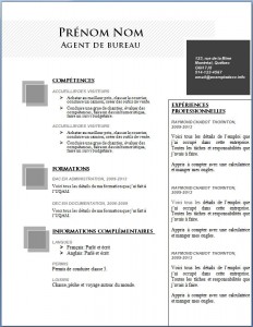 Modèle et exemple de cv word gratuit #98