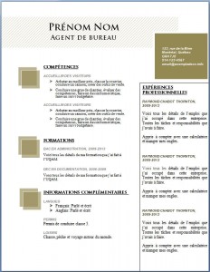 Modèle et exemple de cv word gratuit #99