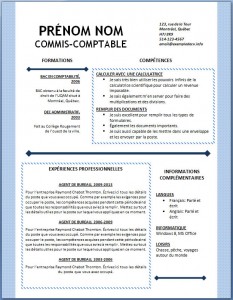 Exemple et modèle word gratuit de CV #121
