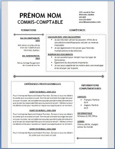 Exemple et modèle word gratuit de CV #122
