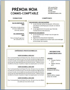 Exemple et modèle word gratuit de CV #123
