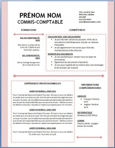 Exemple et modèle word gratuit de CV #124