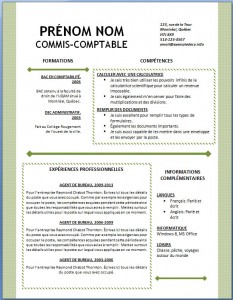 Exemple et modèle word gratuit de CV #125