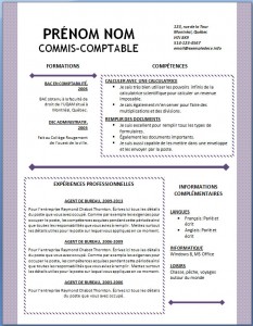 Exemple et modèle word gratuit de CV #126