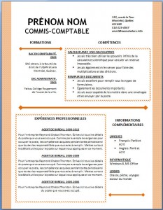 Exemple et modèle word gratuit de CV #127
