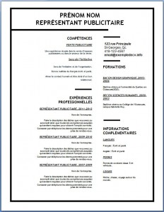 Exemple de CV #135