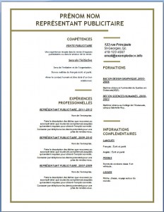 Exemple de CV #137