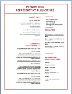 Exemple de CV #138
