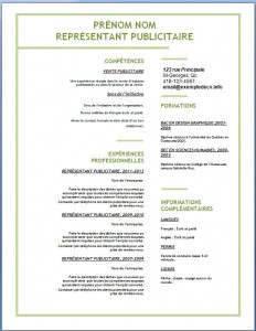 Exemple de CV #139