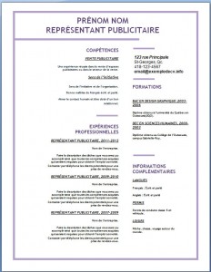 Exemple de CV #140