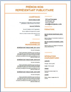 Exemple de CV #141
