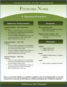 Exemple de CV #240