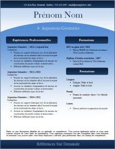 Exemple de CV #241