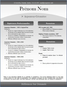Exemple de CV #242