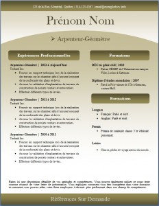 Exemple de CV #243