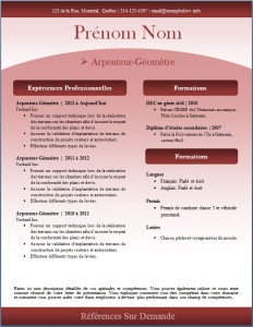Exemple de CV #244