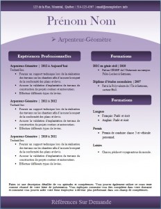 Exemple de CV #245