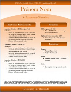 Exemple de CV #246
