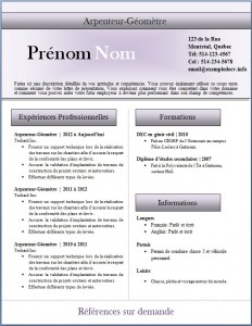 Exemple de CV #280