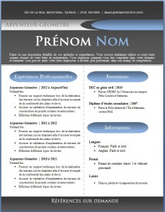 Exemple de CV #430