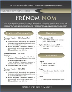 Exemple de CV #431