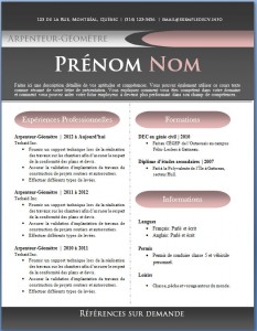 Exemple de CV #432