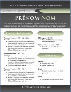 Exemple de CV #433