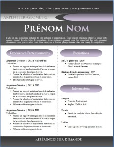 Exemple de CV #434