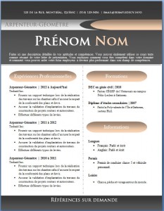 Exemple de CV #435