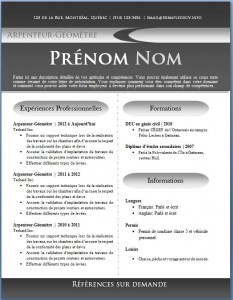 Exemple de CV #436