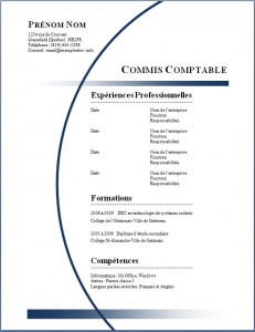 Modèle de CV #289