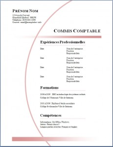 Modèle de CV #292
