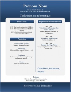 Exemple de CV #261