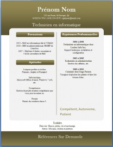 Exemple de CV #262