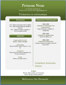 Exemple de CV #264