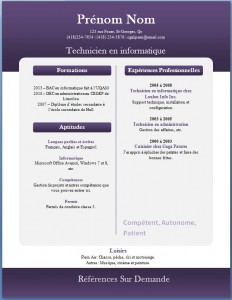 Exemple de CV #265