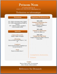 Exemple de CV #266