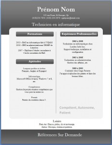Exemple de CV #267