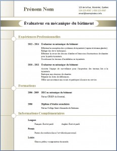 Exemple de CV #269